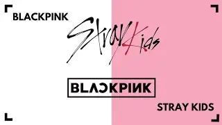 Stray Kids & BLACKPINK 'Get Lit X Forever Young X Case 143' (DJ STARLIGHT D.I.X.I.E Remix)