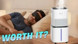 Best Humidifier for Bedroom | 5 Best Humidifiers for a PERFECT Night's Sleep