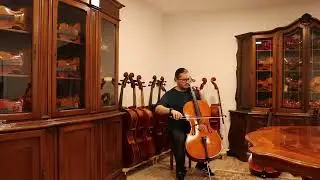 Master Romanian Cello 4/4 - Hand-made in Romania 2022