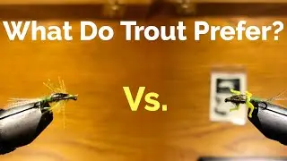 Do Lively Legz Catch More Fish? Fly Preference Experiment