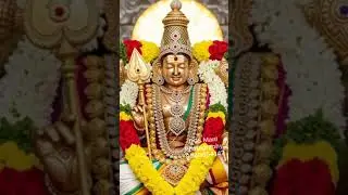 #முருகன் #reel #love #murugan #song #hindusong #status #music #god #murugansong #முருகன்பாடல்கள்