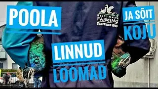 Poolas!  Linnud, loomad ja sõit koju.