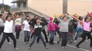 Arlington Heights   SPARK   Healthy School Makeover