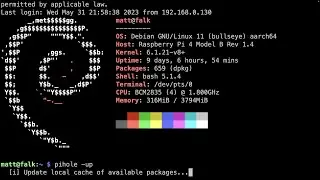 How to update your pihole