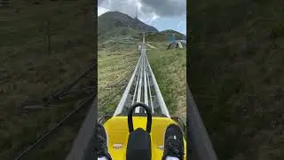 I WENT on a TOBOGGAN RIDE!
