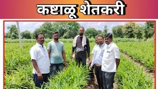 कष्टाळू अद्रक शेतकरी