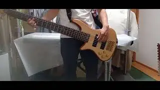 The Winstons - Amen Brother 弾いてみた【ベース】