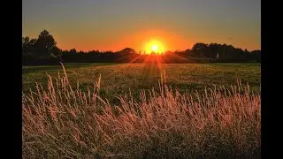 Lindas Paisagens Natureza Exuberante ao som de Violino