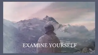 Examine Yourself | Paul Washer
