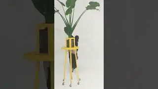 BIONIC DANCE REHEARSAL - AEE WEN & ALOCASIA #bionic #dance #rehearsal #biosensitive #art #shorts
