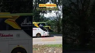 Keramahan supir bus Chandra kepada konten kreator kayu Raja Rantauprapat #sobatranto #shortvideo