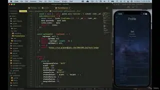 React Native User info on profile || React Native beginner tutorial English 2024  #88