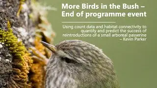 Using count data and habitat connectivity to quantify and predict the success of reintroductions