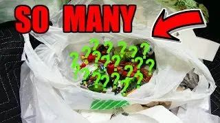 This BAG Has So MANY in it!!! Gamestop Dumpster Dive Night #737