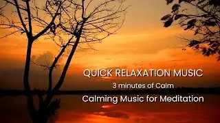 Gentle & Short Relaxation Music | Instrumental Calm