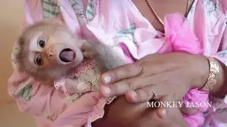 Baby Jason So Lovely Behavior Request Mom Help After Eating Sweet Mango & Drink Lot Of Milk