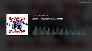 Episode 24: Beginner Agility Questions