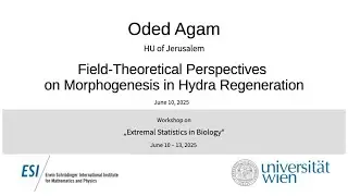 Oded Agam - Field-Theoretical Perspectives on Morphogenesis in Hydra Regeneration