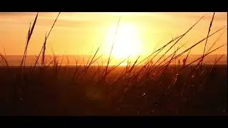 Nature Video 30 Seconds|WhatsApp Status Video|Nature Background Videos
