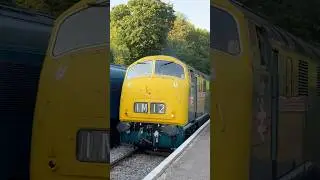 D821 Greyhound Arriving at Medstead & Four Marks Station
