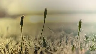 Lian July & Chris Odium - The Only Ones [Silk Music]