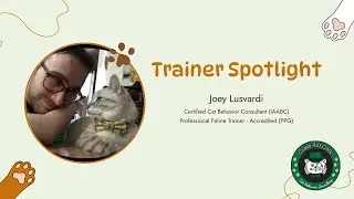 Trainer Spotlight: Joey Lusvardi - How To Change Your Cat's Behavior Without Being Mean