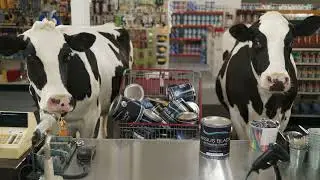Chick-fil-A | Cows | Paint Run - Coke | :30