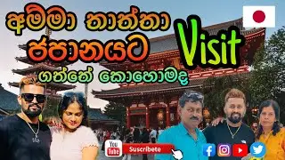 අම්මා තාත්තා ජපානයට ගත්තේ කොහොමද ♥️👫 | How To Apply visit visa for Japan 🇯🇵🇱🇰 #love #japan #visit