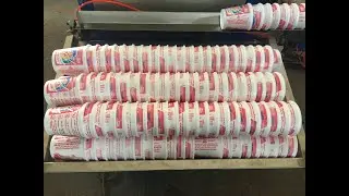 Styrofoam Cup Printing Machine, EPS Foam Cup Printer, EPS Foam Cup Printing Machine