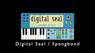 Digital Seal feat Spengbond