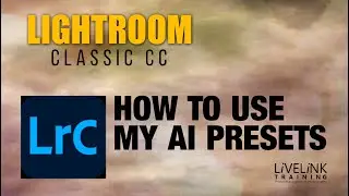 How to use my AI Presets