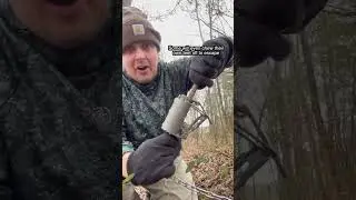 Как работают ловушки, защищающие от собак? #хищники #еноты #отлов