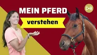 MEIN PFERD VERSTEHEN - TIERKOMMUNIKATION mit dem PFERD lernen