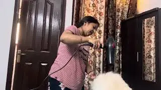 &ldquo;🐶 Tuffy Ki Nahlai Vlog 🚿 | Dog Bath Routine at Home | Cute Pet Vlog | 2 Minute Short @souravjvlogs