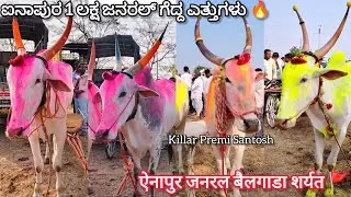 ಐನಾಪುರ 1 ಲಕ್ಷ ಬಹುಮಾನ ಪಡೆದ ಎತ್ತುಗಳು 🔥 एनापुरा जनरल बैलगाडा शर्यत 🔥🚩