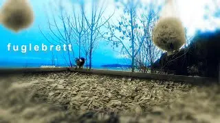 ZaPaTaZz - FuGleBreTT (Official Video)