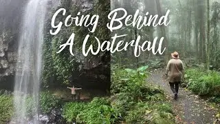 Unbelievable Crystal Showers Waterfall - Australia Nature Walk
