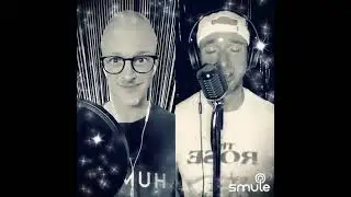 Smule-Cover „The rose“ - Bette Midler 