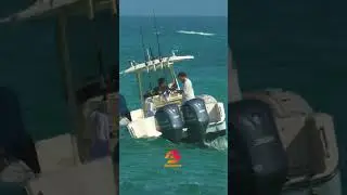 Hooked on Success: Man Reels in a Big Catch at Haulover Inlet Fish On!