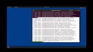 Deleting root directory on Linux