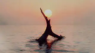 Lifeline