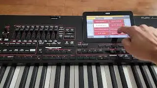 KORG PA4X BALLAD STYLES DEMO