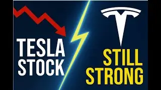Tesla Stock Volatility Explained: Why TSLA Still Has the Edge in 2025