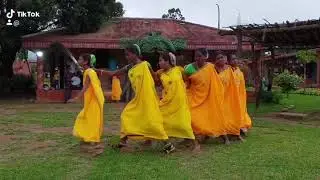 Dhimsa&nbsp;Dance from Aruku