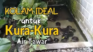 Review Kolam Kura Kura Air | Turtle Pond Review