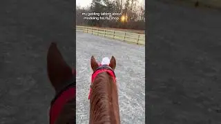 spike the model | #horses #smallbussines #crochet