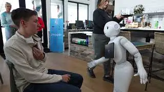 Amazing Angeline Robot