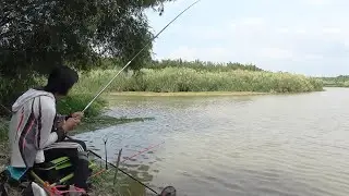 用兩千塊的竿子去釣魚，魚情居然這麼暴躁，魚護都提不動了！ 【野釣長空】