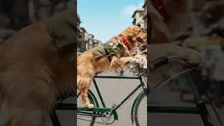 at Cycle Explained: Signs, Stagess