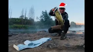 Chasing topwater Murray Cod in Gorge Country